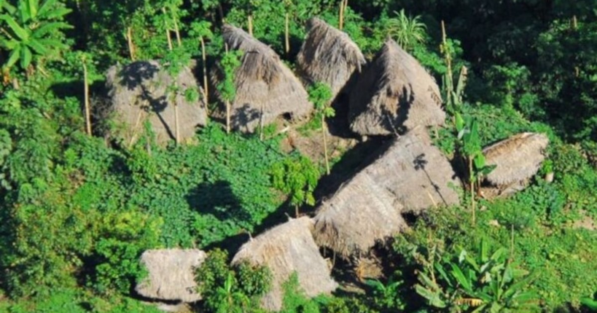 Carta do Acre: grupo de Schwarzenegger exalta fundo verde que Brasil anunciará na COP-30