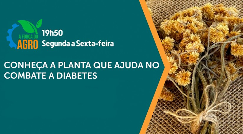 assista ao programa de 30/5/2025