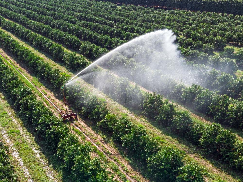 Sistema inteligente aumenta eficiência da água no campo